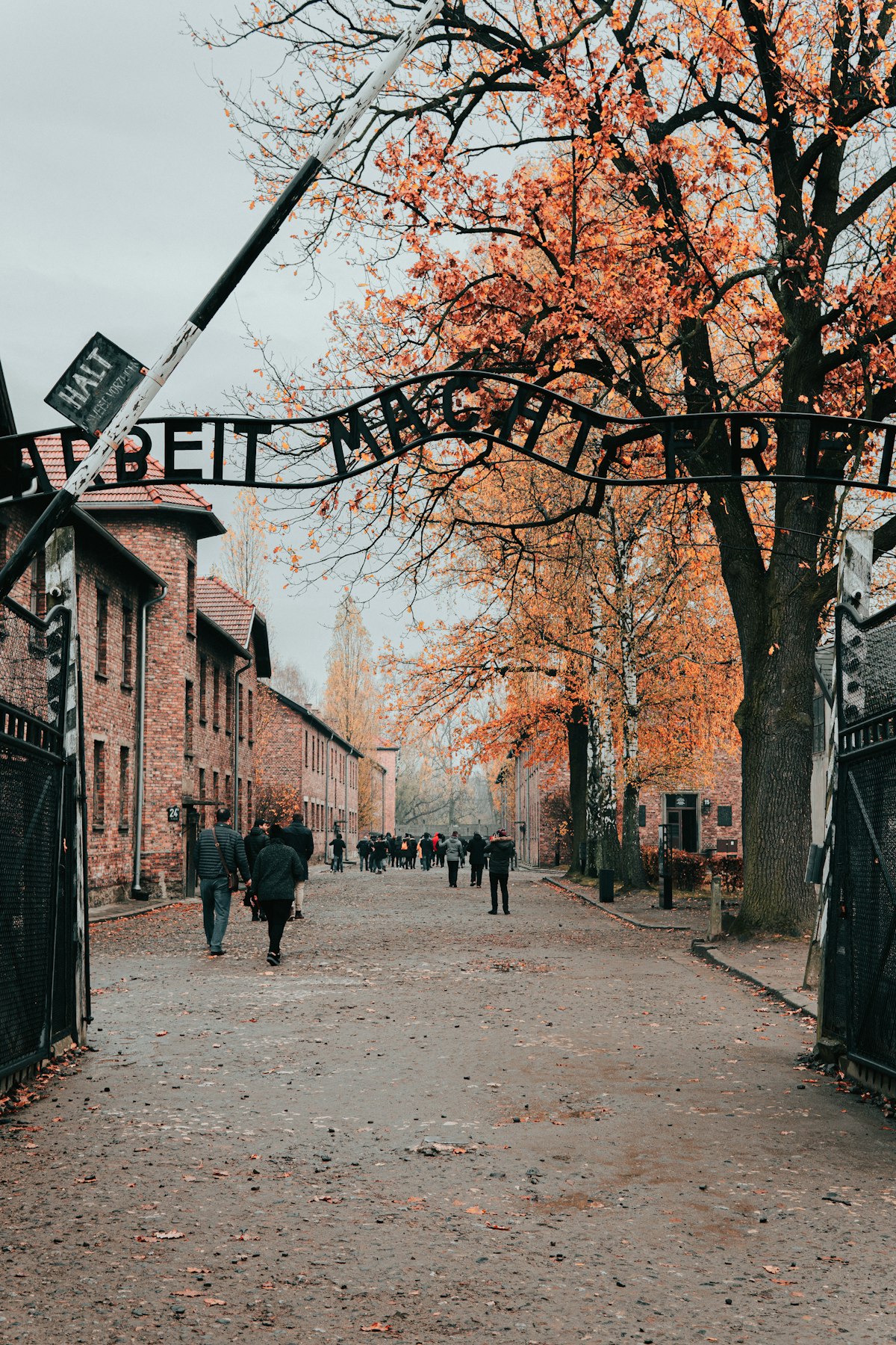 Krakow → Auschwitz-Birkenau